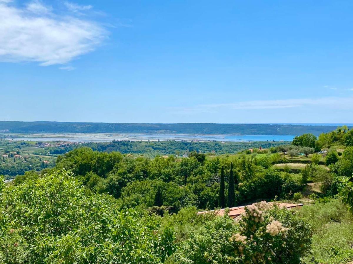 Apartma Hill Portorose Portorož Exterior foto